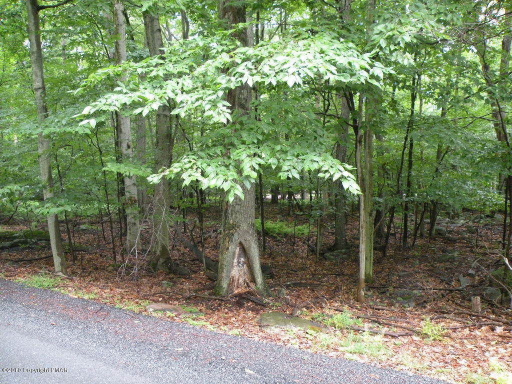 Lot View 3