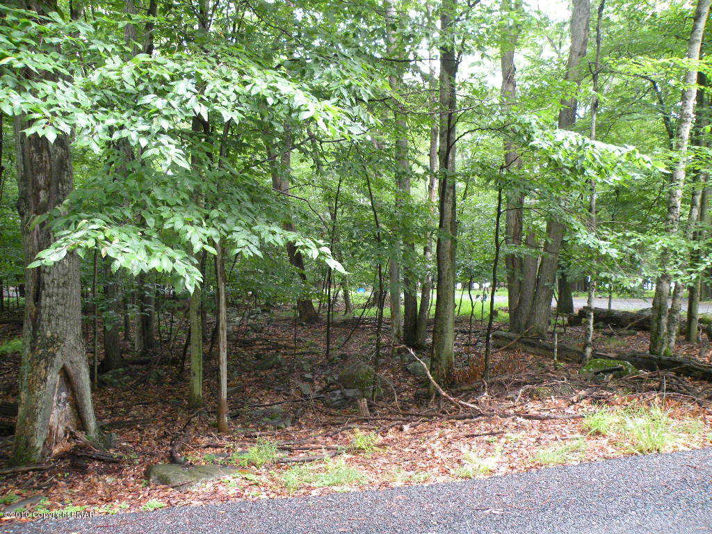 Lot View 4