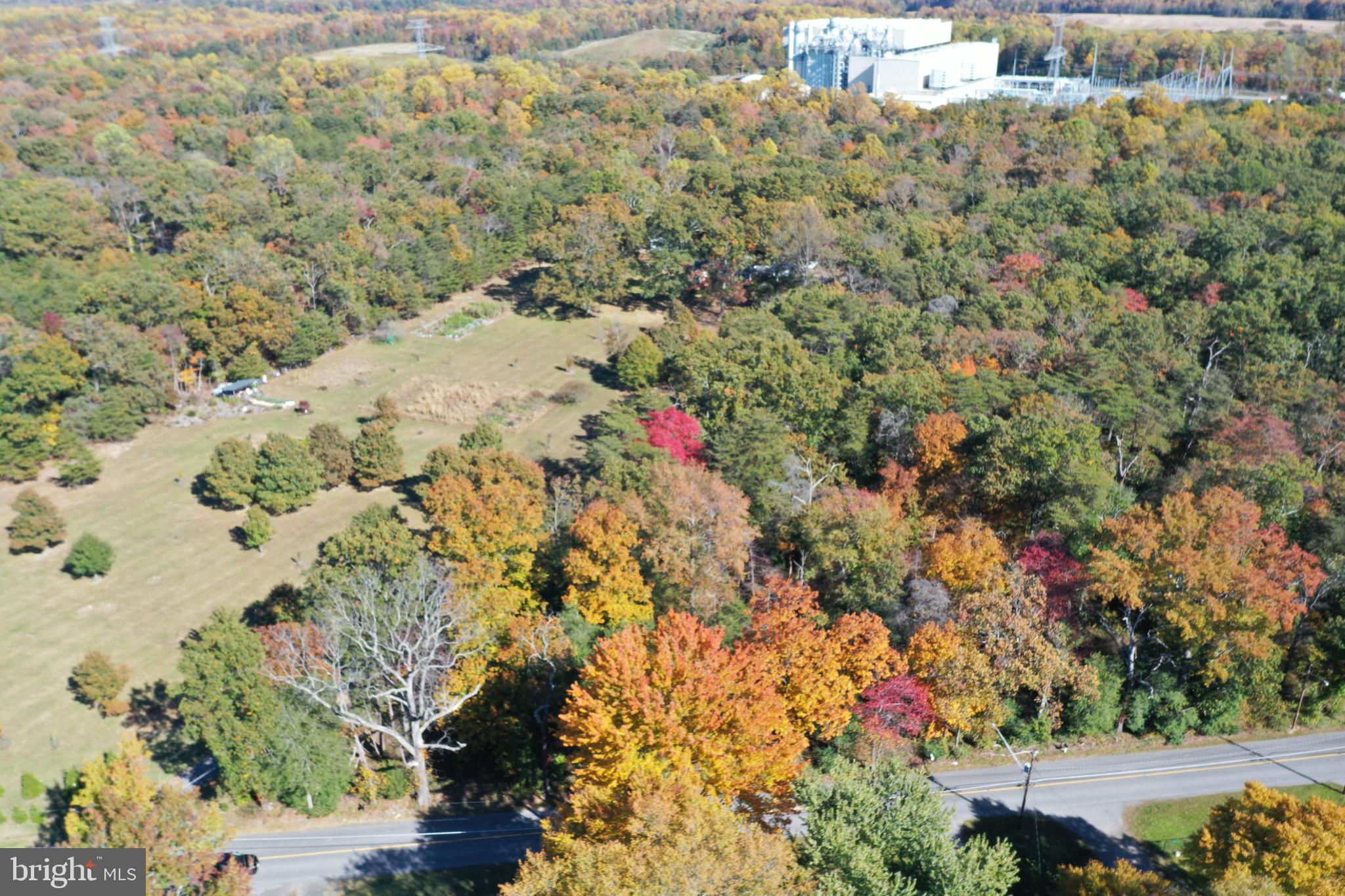13706 Old Indian Head Road Brandywine, MD 20613 - Photo 11 of 29 a view of a yard with plants and wooden fence