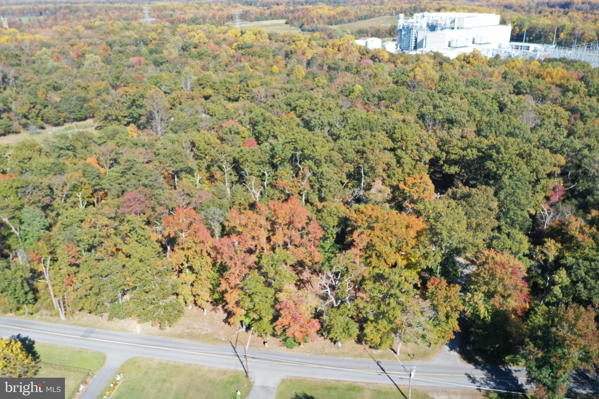 13706 Old Indian Head Road Brandywine, MD 20613 - Photo 14 of 29 a view of yard