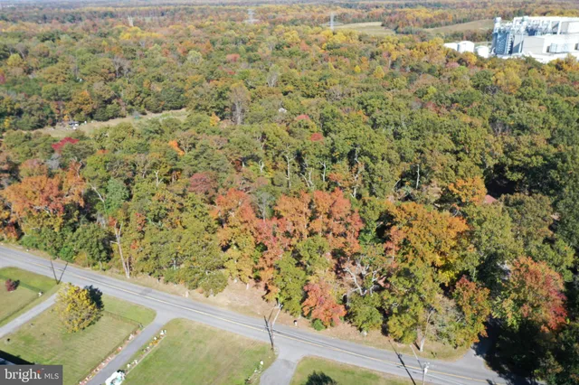 an aerial view of forest
