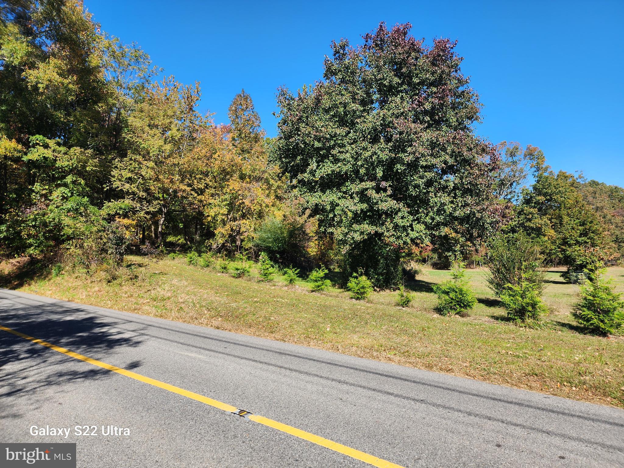 13706 Old Indian Head Road Brandywine, MD 20613 - Photo 2 of 29 a view of a yard next to a yard