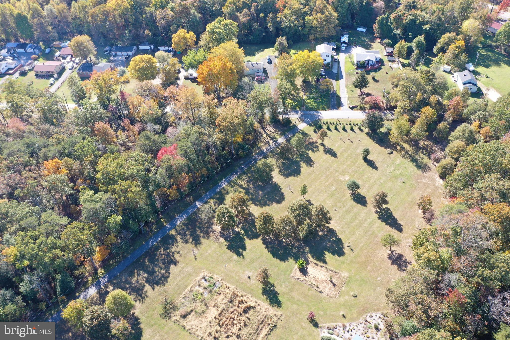 13706 Old Indian Head Road Brandywine, MD 20613 - Photo 29 of 29 a view of a tree with a flower