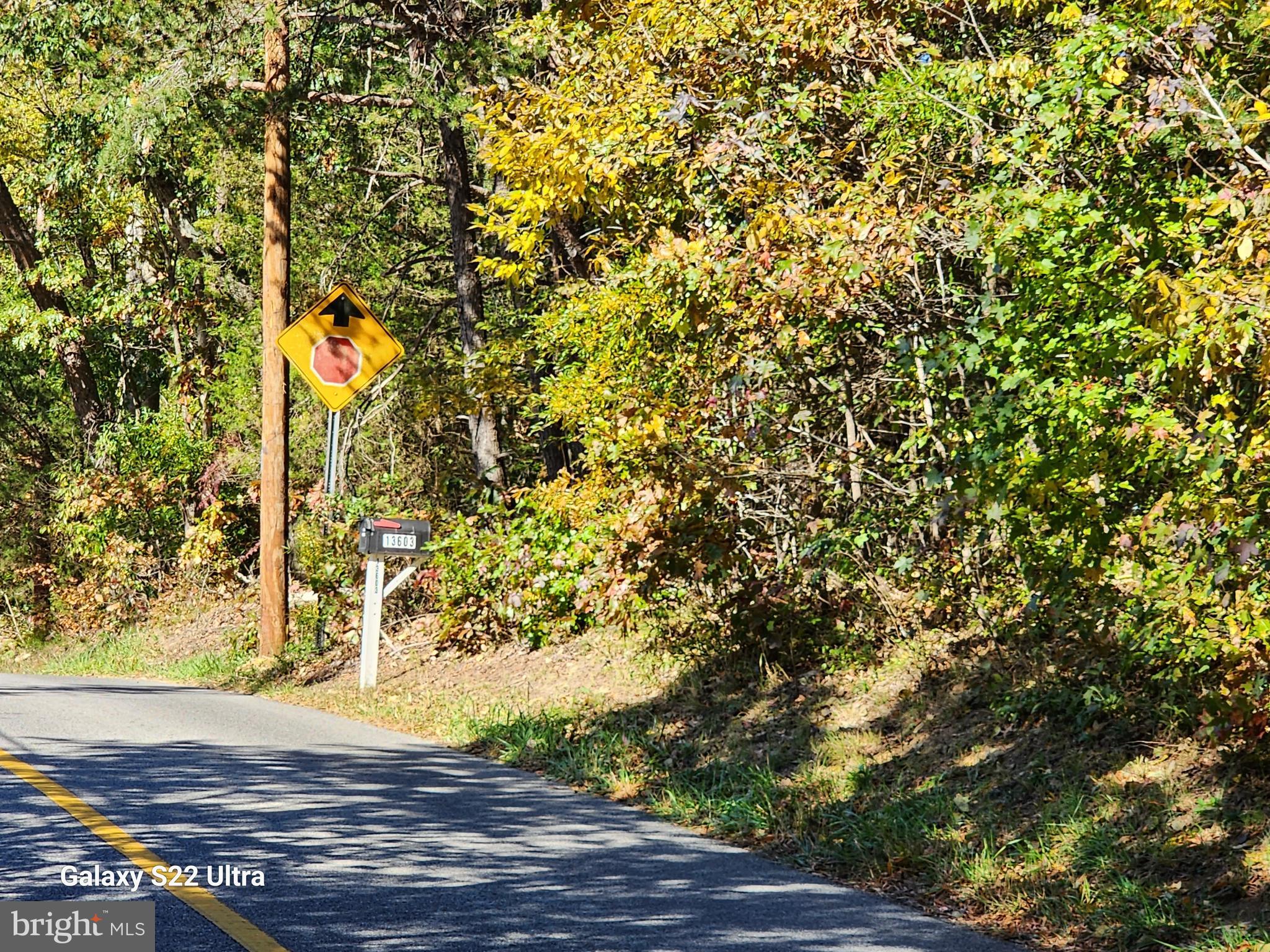 13706 Old Indian Head Road Brandywine, MD 20613 - Photo 5 of 29 a view of a yard