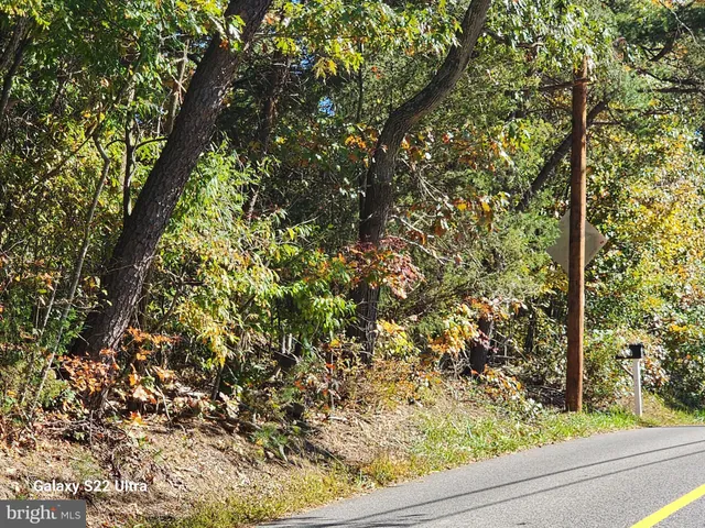 a view of a yard with an outdoor space