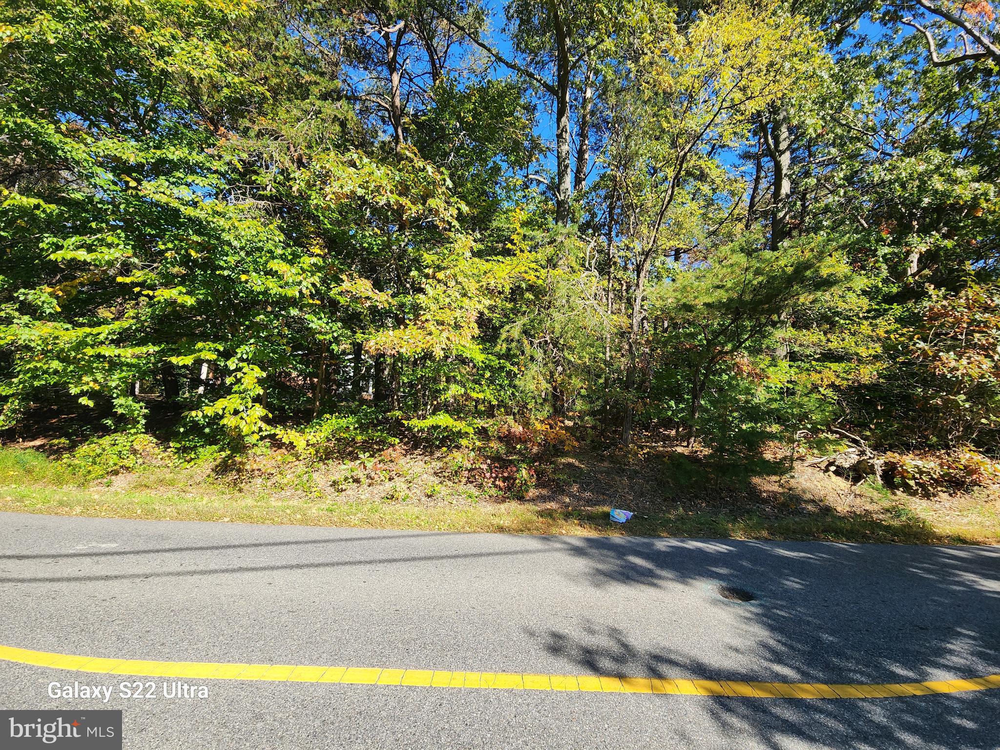 13706 Old Indian Head Road Brandywine, MD 20613 - Photo 7 of 29 a view of a yard with an outdoor space