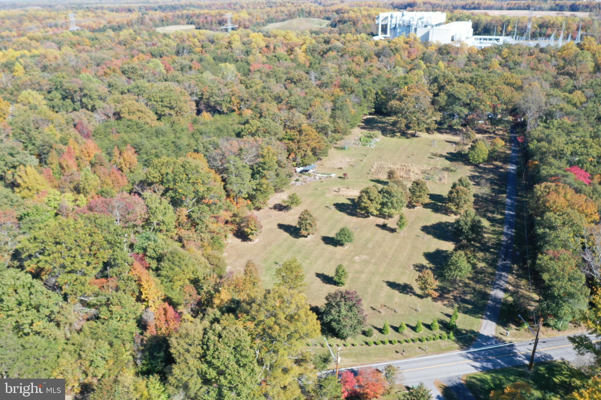 13706 Old Indian Head Road Brandywine, MD 20613 - Photo 9 of 29 a view of a yard with trees