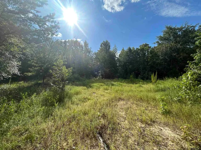 a view of an outdoor space and a yard