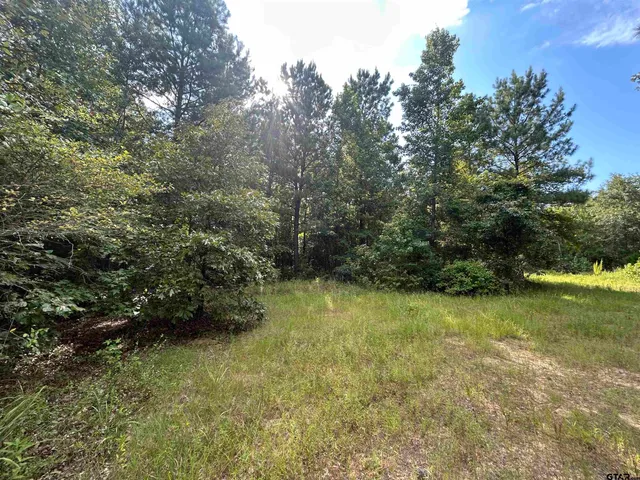 a view of outdoor space and garden
