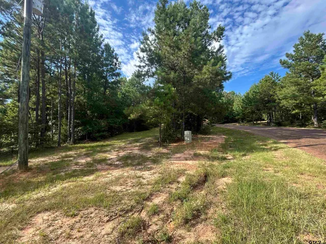 a view of a swimming pool with a yard and large trees