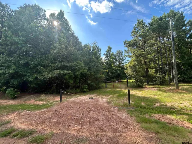 a view of a tree in a yard