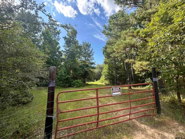 a view of a bench in a forest