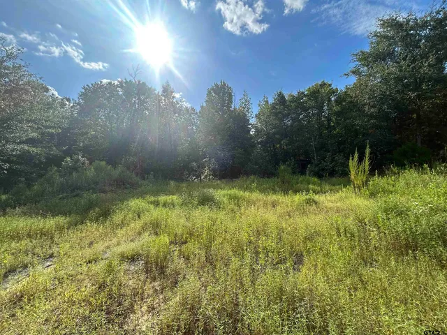 a view of a yard with a tree