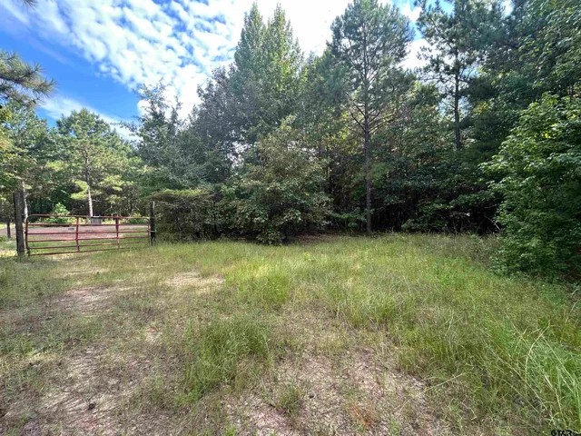a view of outdoor space with deck and yard