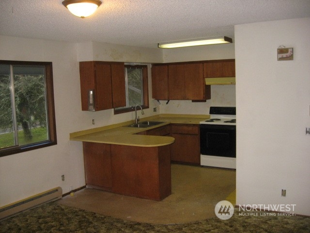 2466 North Shore Road Bellingham, WA 98226 - Photo 9 of 23 a kitchen with a sink and a stove top oven