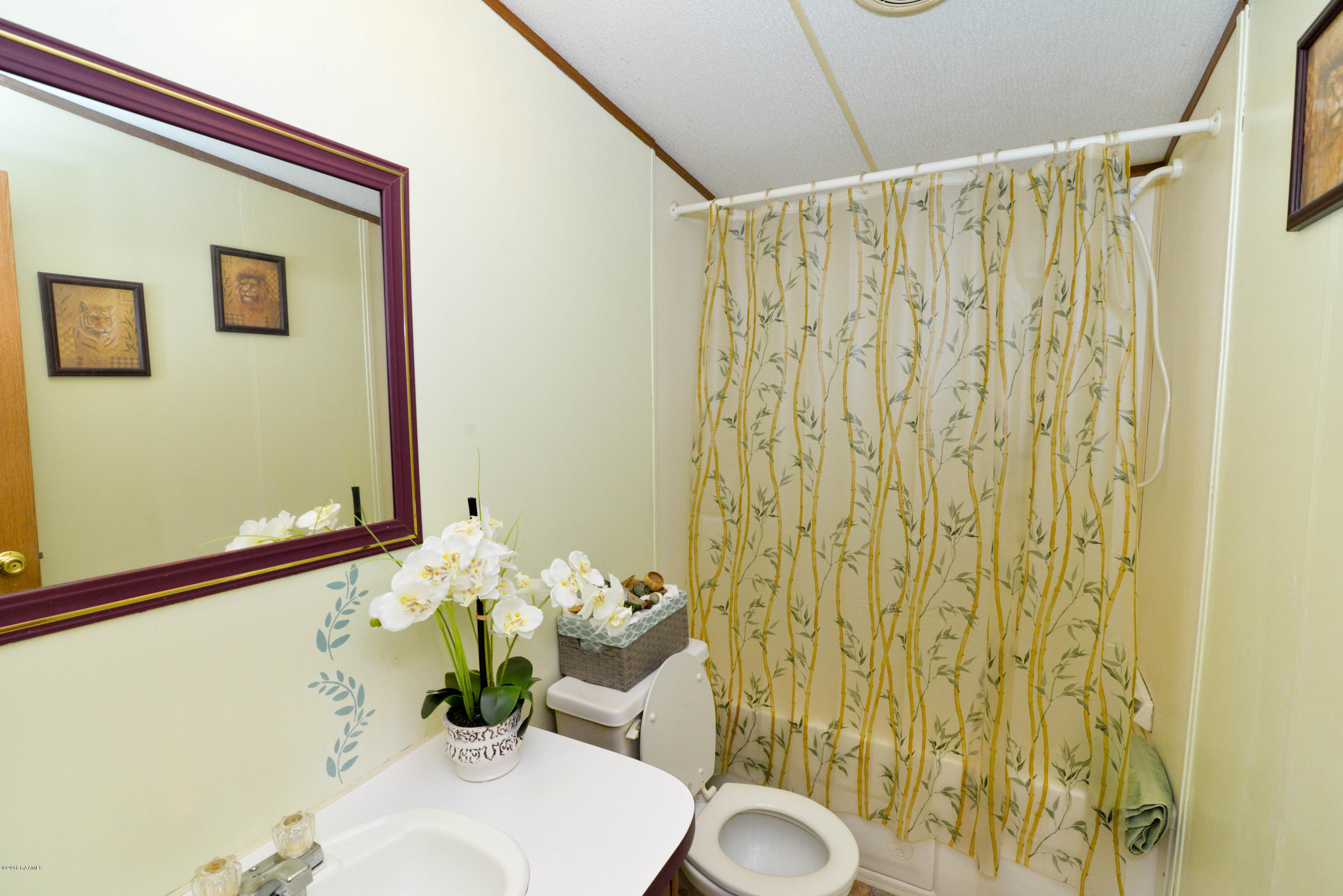 804 Troy Road New Iberia, LA 70563 - Photo 12 of 16 DSC_0485