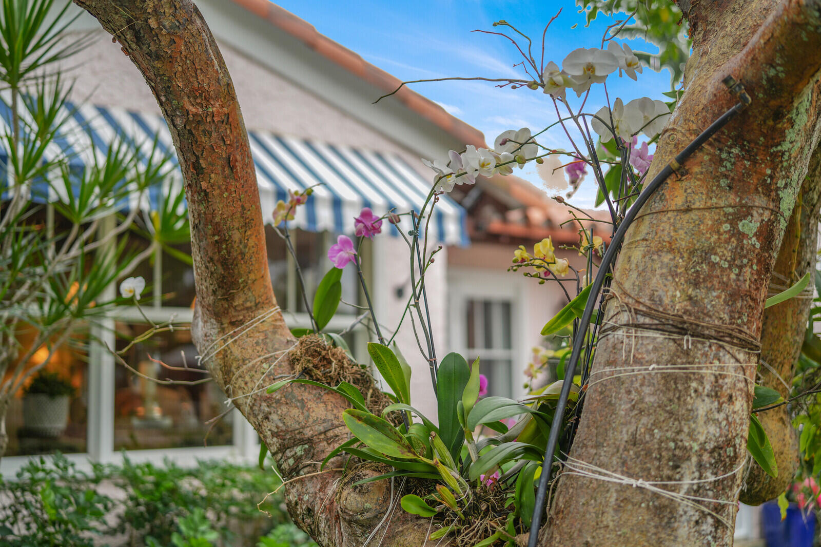 118 Dixie Boulevard Delray Beach, FL 33444 - Photo 60 of 62 118 Dixie Blvd, Delray Beach