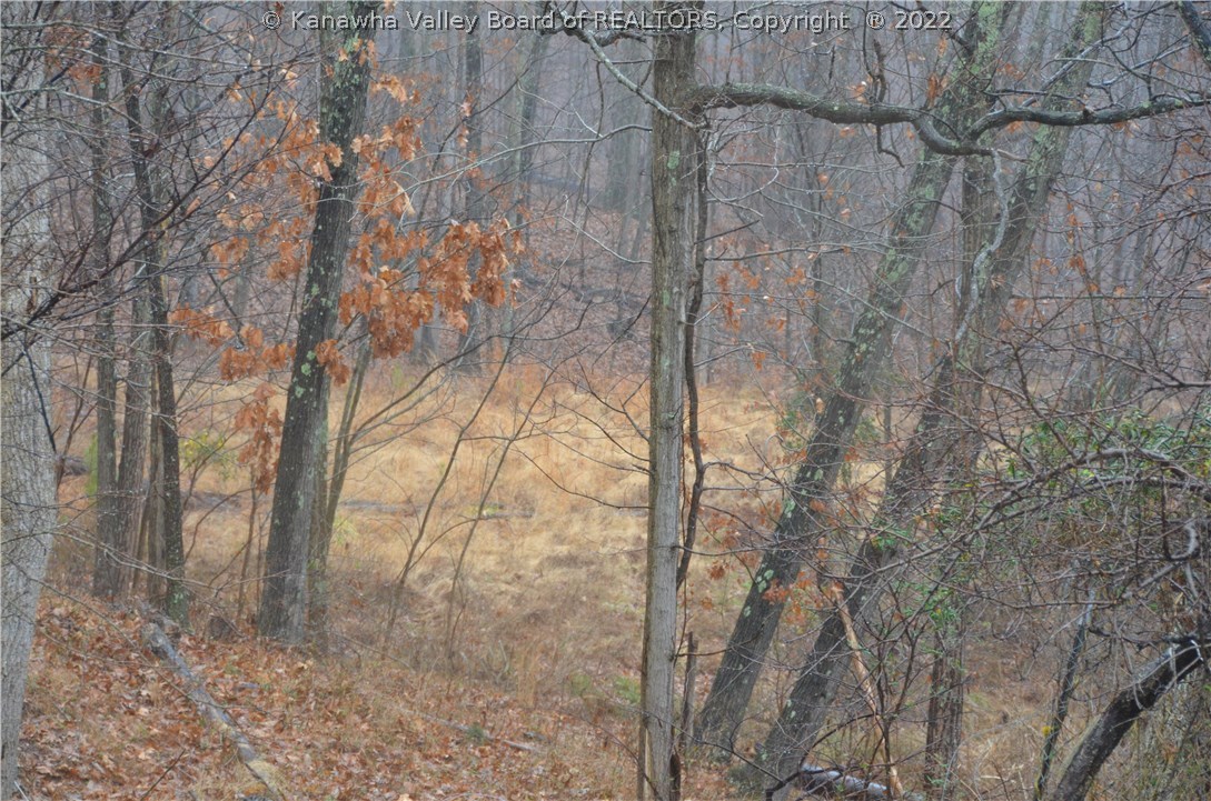 4789 Evans View Road Evans, WV 25241 - Photo 17 of 19 Gallery Image 17