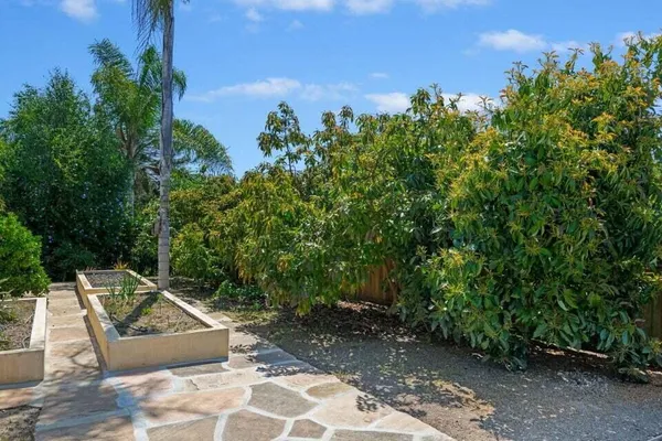 a view of a garden with plants