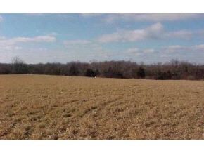 Lot 14 Sample Road Bloomington, IN 47404 - Photo 3 of 3