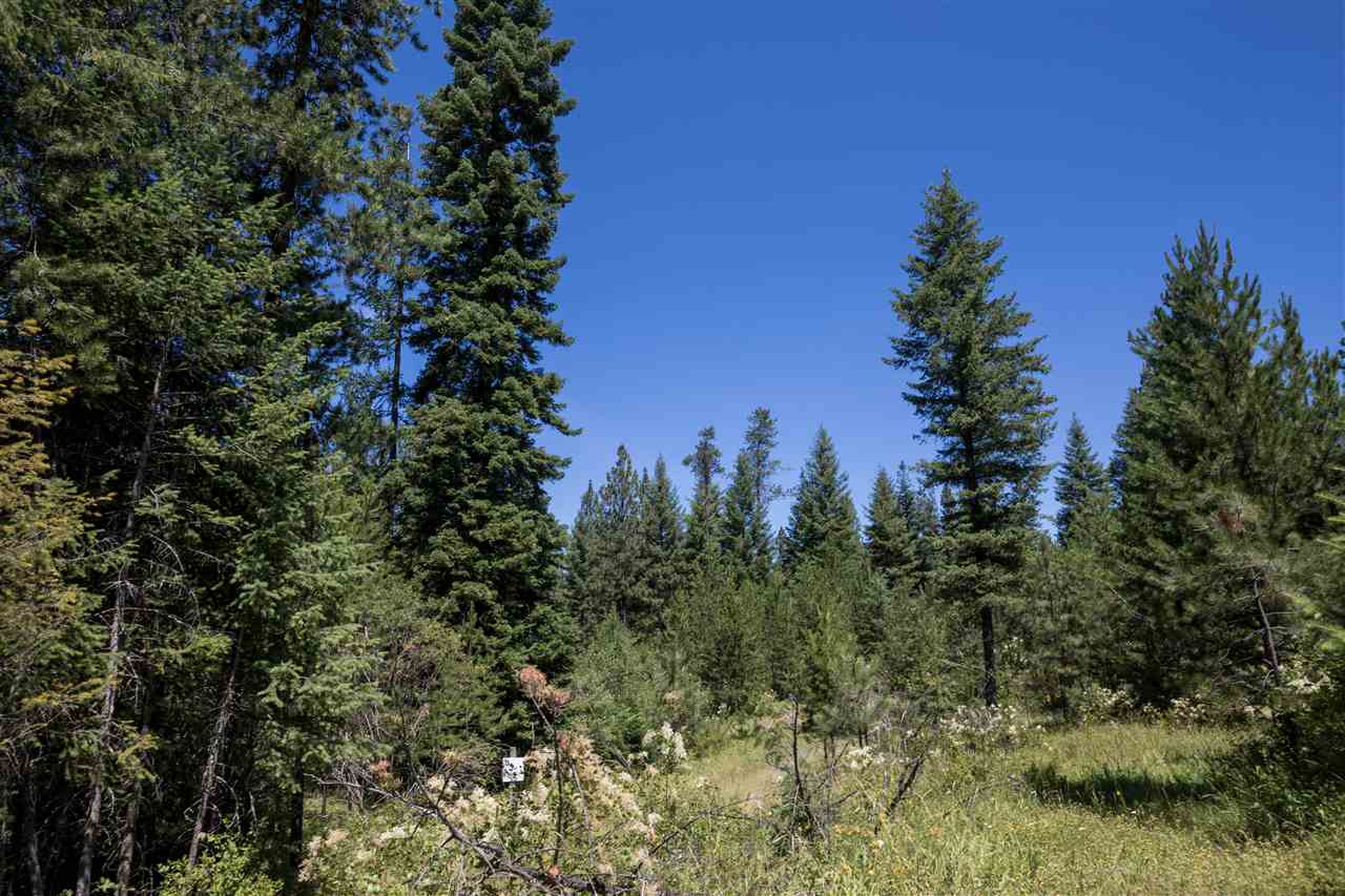 13415 East Blanchard Road Elk, WA 99009 - Photo 20 of 20 Gallery Image 20