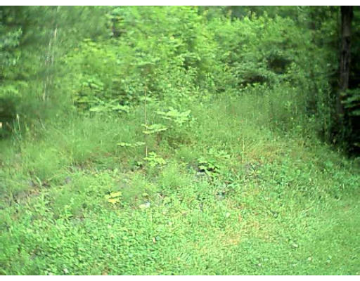 Lot 2 Fuller Road Chesterfield, MA 01012 - Photo 1 of 1