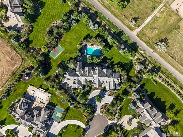 a view of banana tree