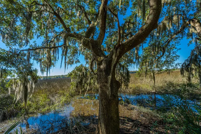 $279,500 | 4654 Palm View Circle, North Charleston, SC 29418