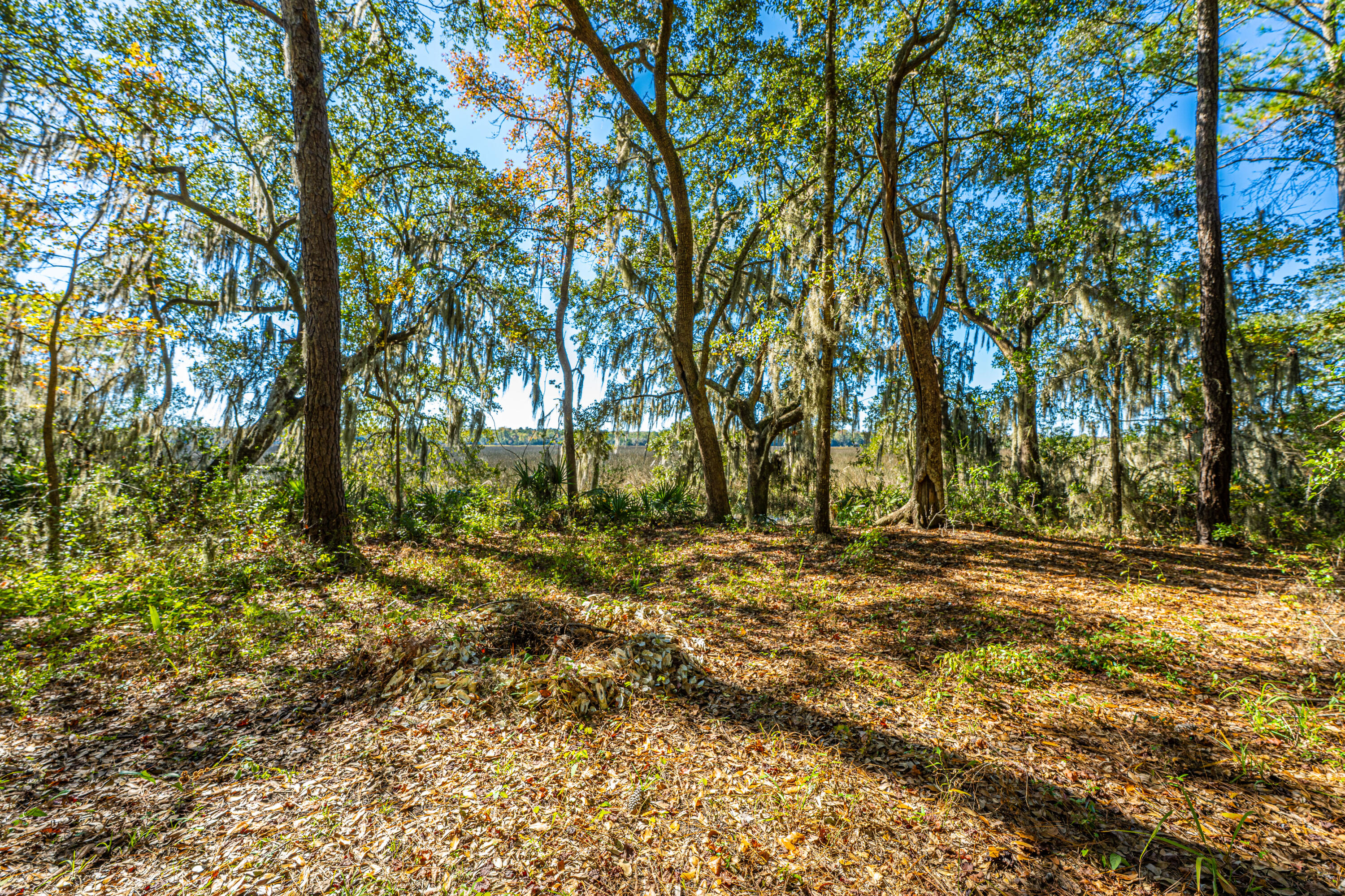 4654 Palm View Circle North Charleston, SC 29418 - Photo 40 of 44 Behind the home