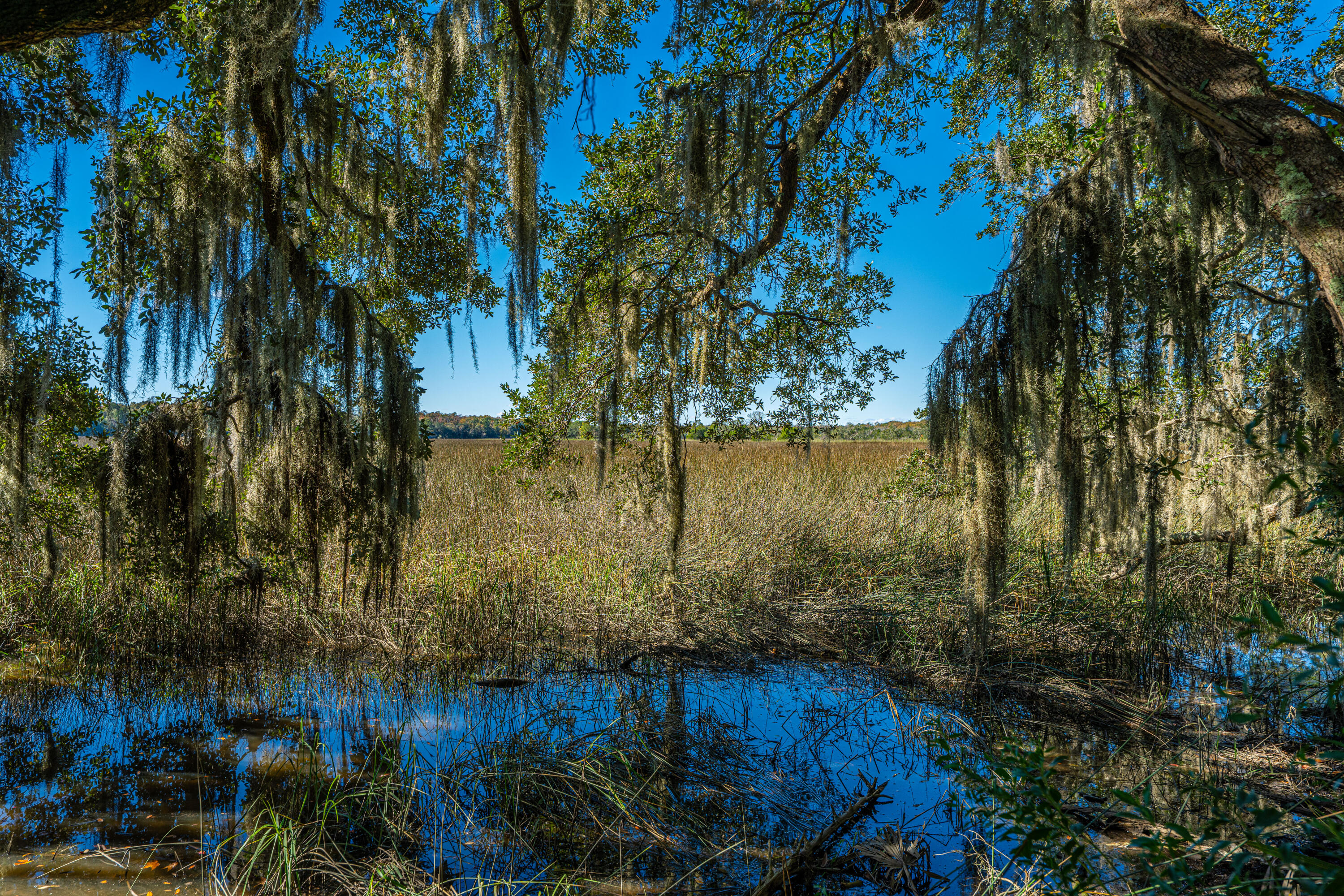 4654 Palm View Circle North Charleston, SC 29418 - Photo 41 of 44 Ashley River