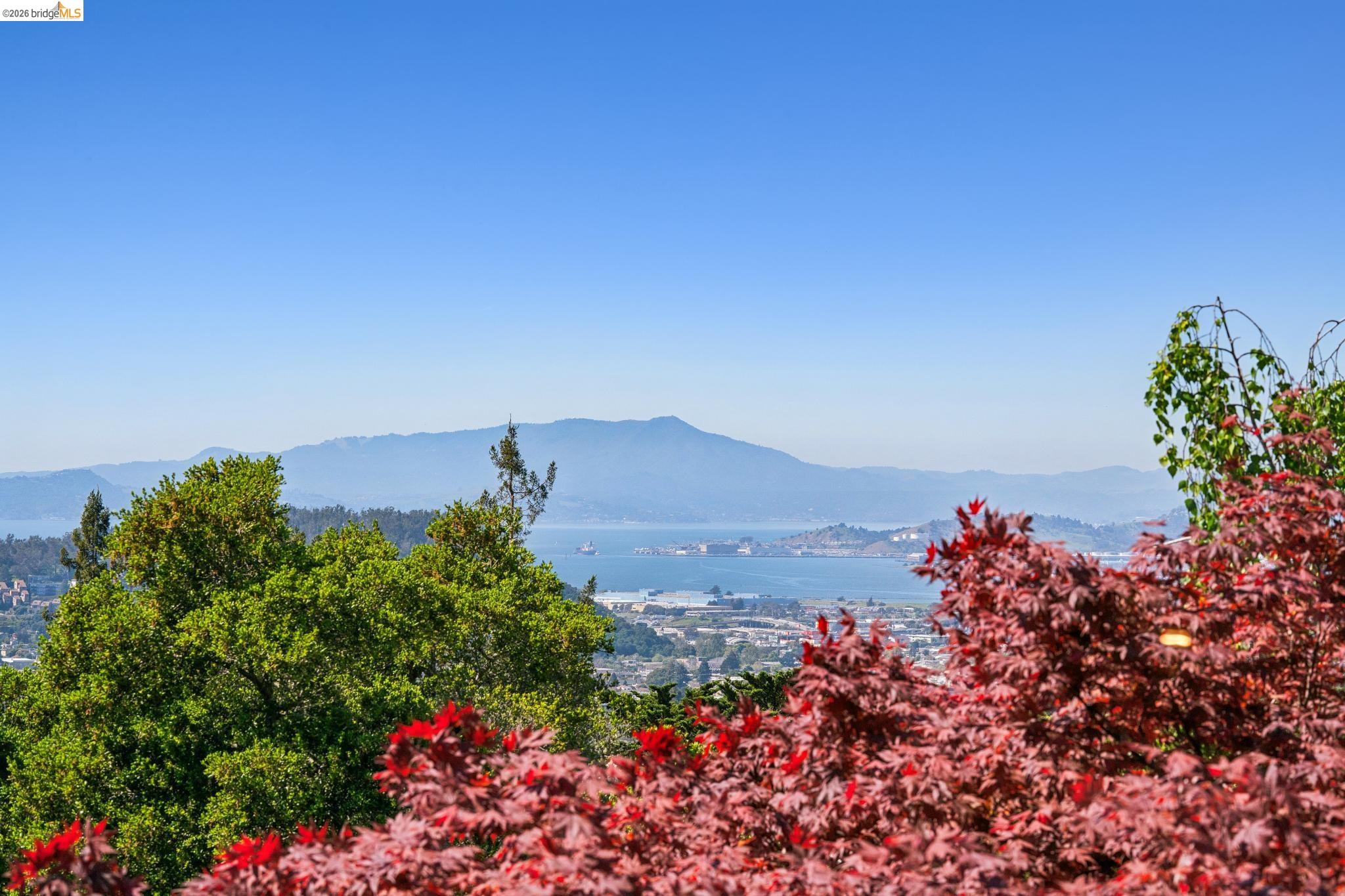 813 San Diego Road Berkeley, CA 94707 - Photo 42 of 60