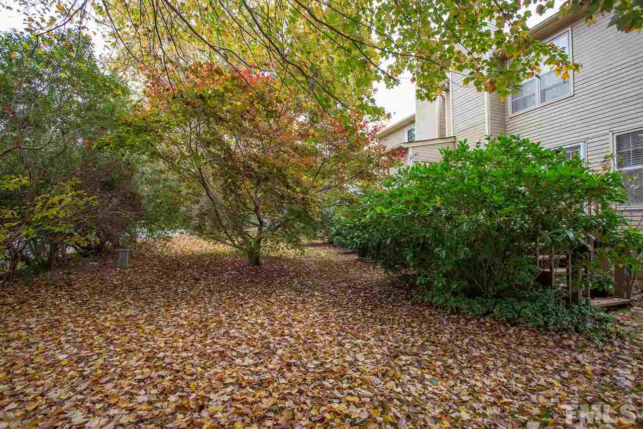 210 Bracken Court Raleigh, NC 27615 - Photo 26 of 26 a view of a yard with plants and large trees