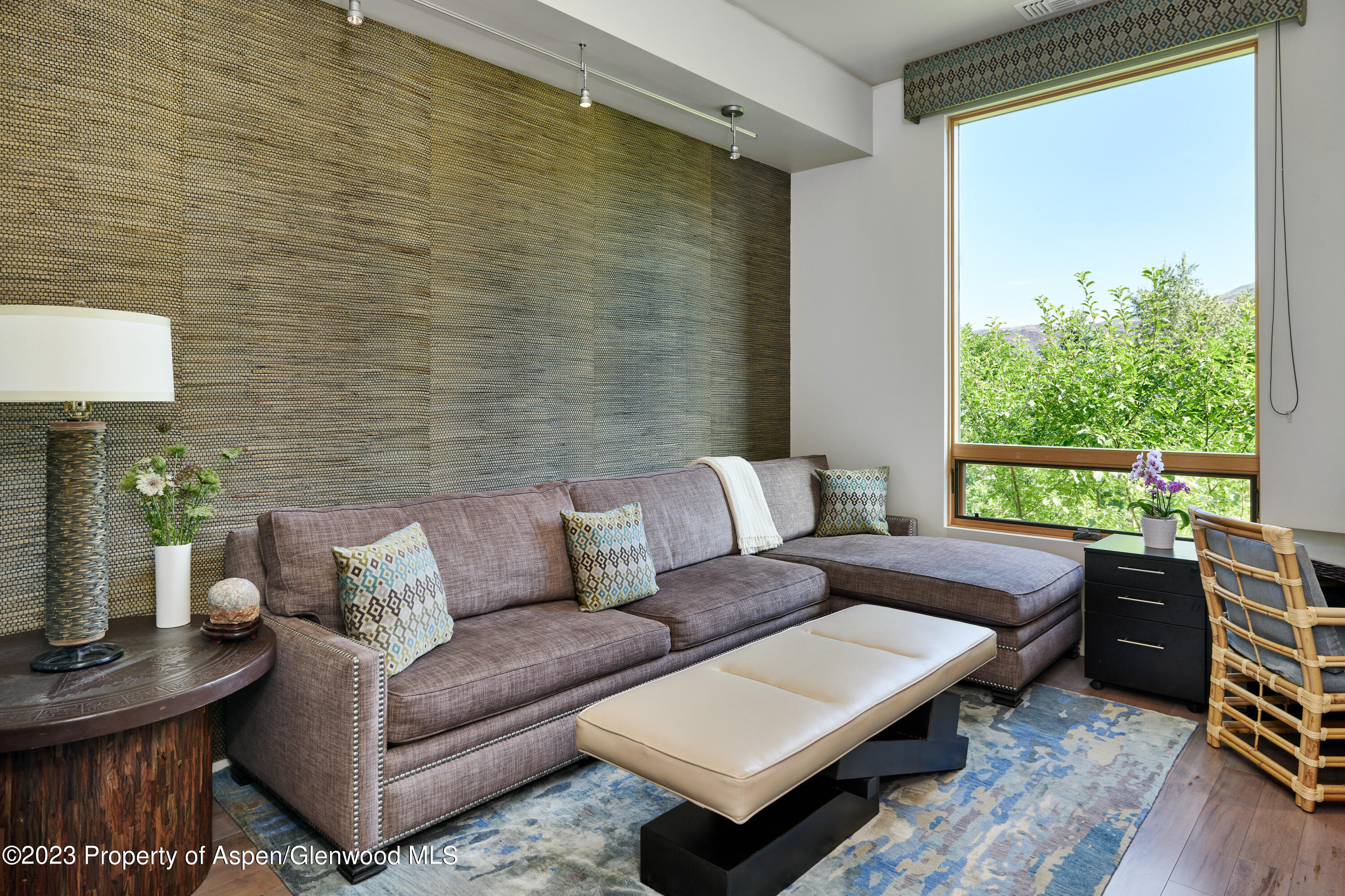 202 Evans Road, Unit 203 Basalt, CO 81621 - Photo 15 of 24 a living room with furniture and a window