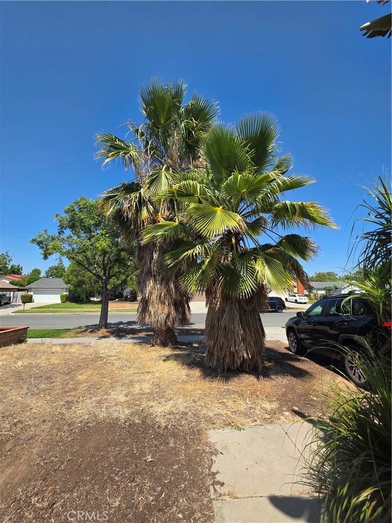 3262 Racine Drive Riverside, CA 92503 - Photo 15 of 79