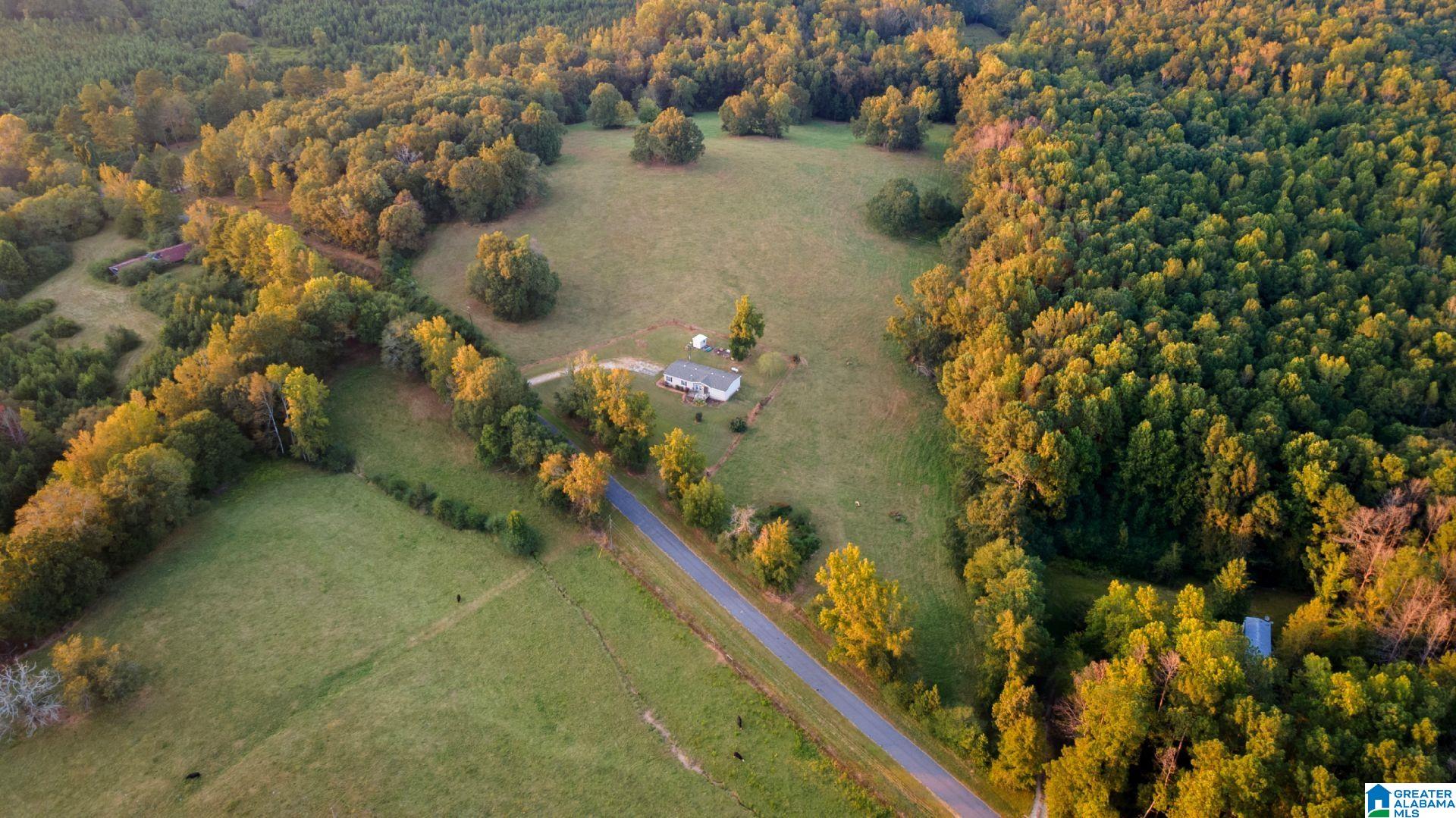 647 Buck Creek Road Ashland, AL 36251 - Photo 6 of 33