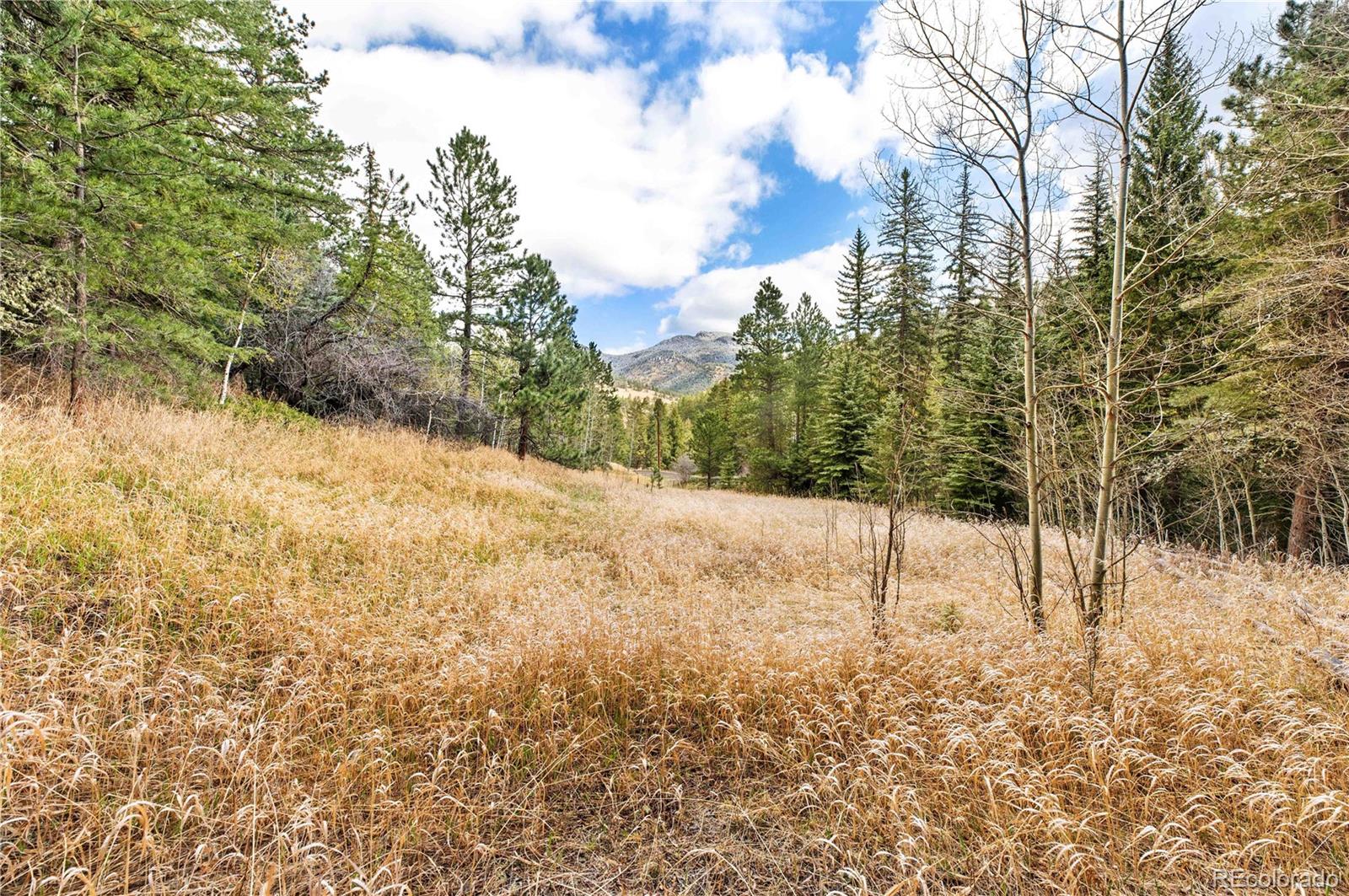 8477 Drew Hill Road Golden, CO 80403 - Photo 38 of 50
