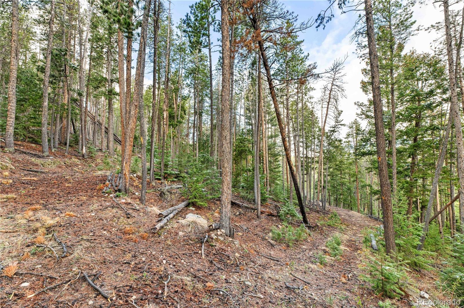 8477 Drew Hill Road Golden, CO 80403 - Photo 40 of 50