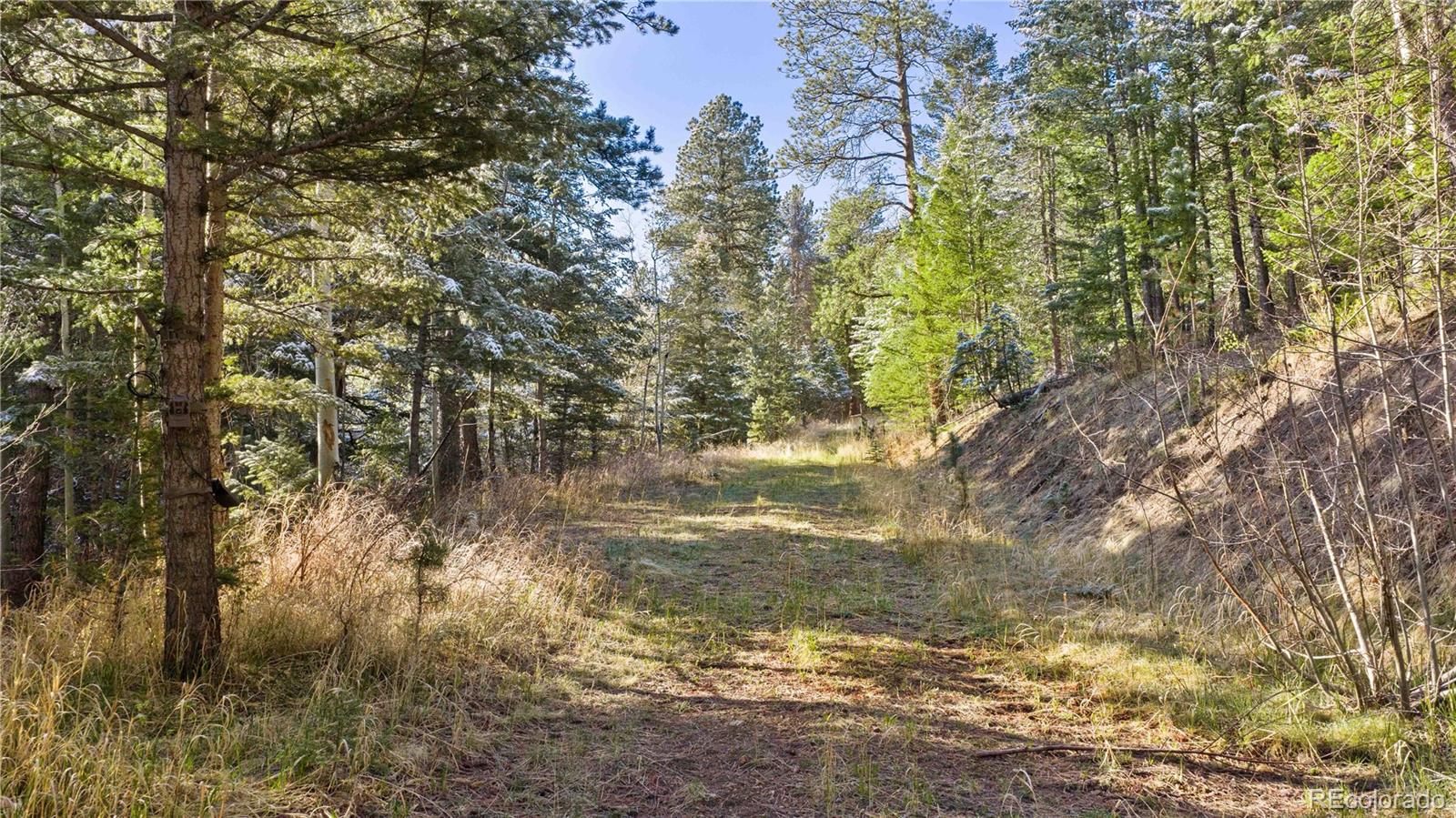 8477 Drew Hill Road Golden, CO 80403 - Photo 43 of 50
