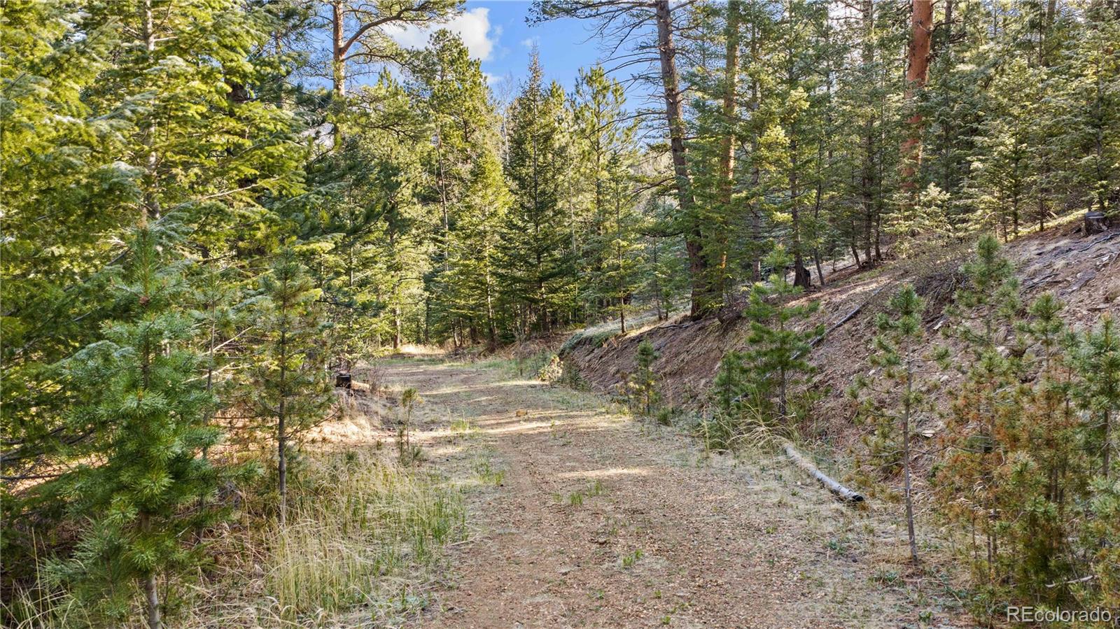 8477 Drew Hill Road Golden, CO 80403 - Photo 44 of 50