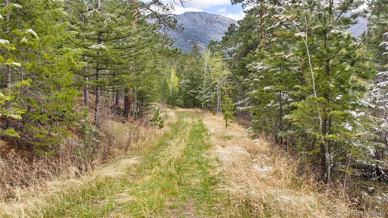 8477 Drew Hill Road Golden, CO 80403 - Photo 46 of 50
