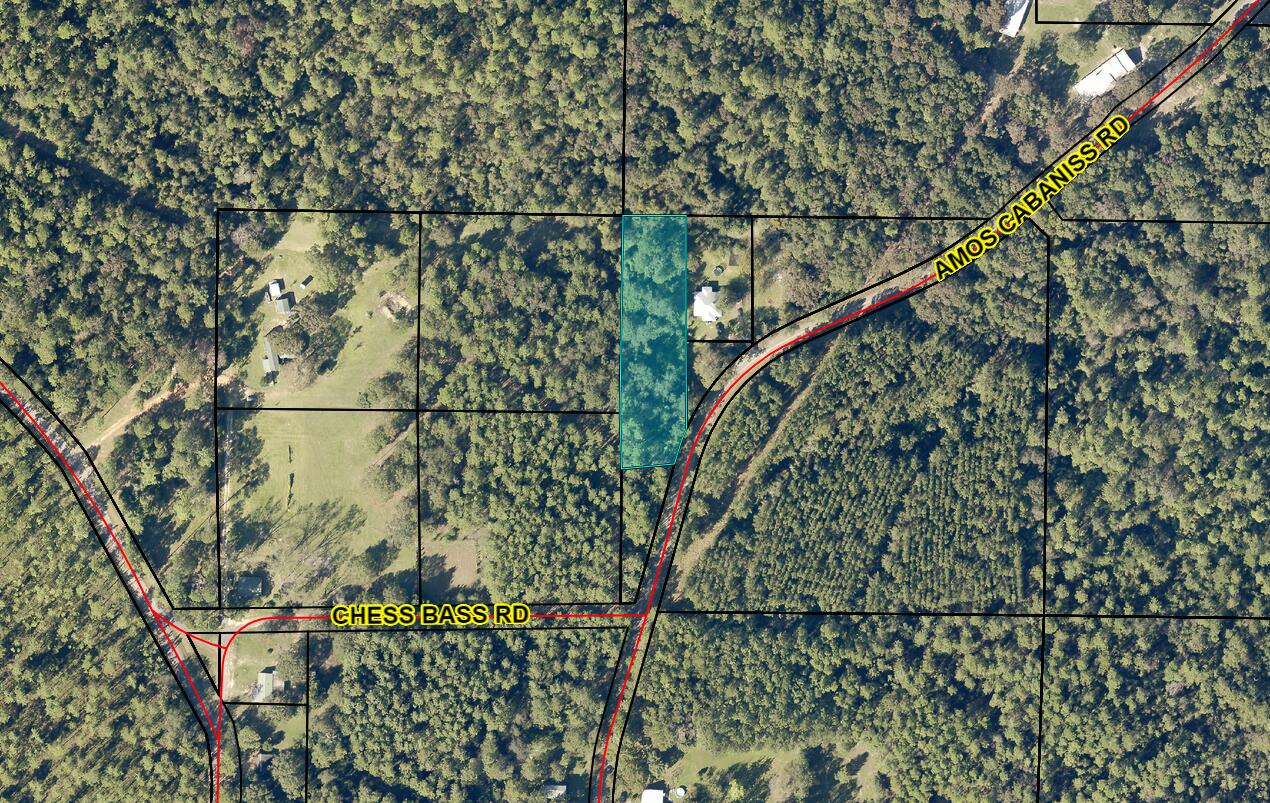 0 Amos Cabaniss Rd  