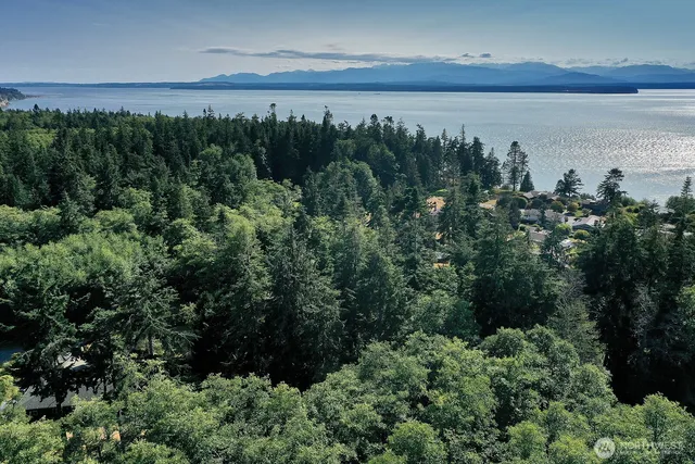 an aerial view of residential house with outdoor space and trees all around