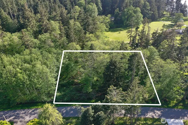 a view of a forest with a forest