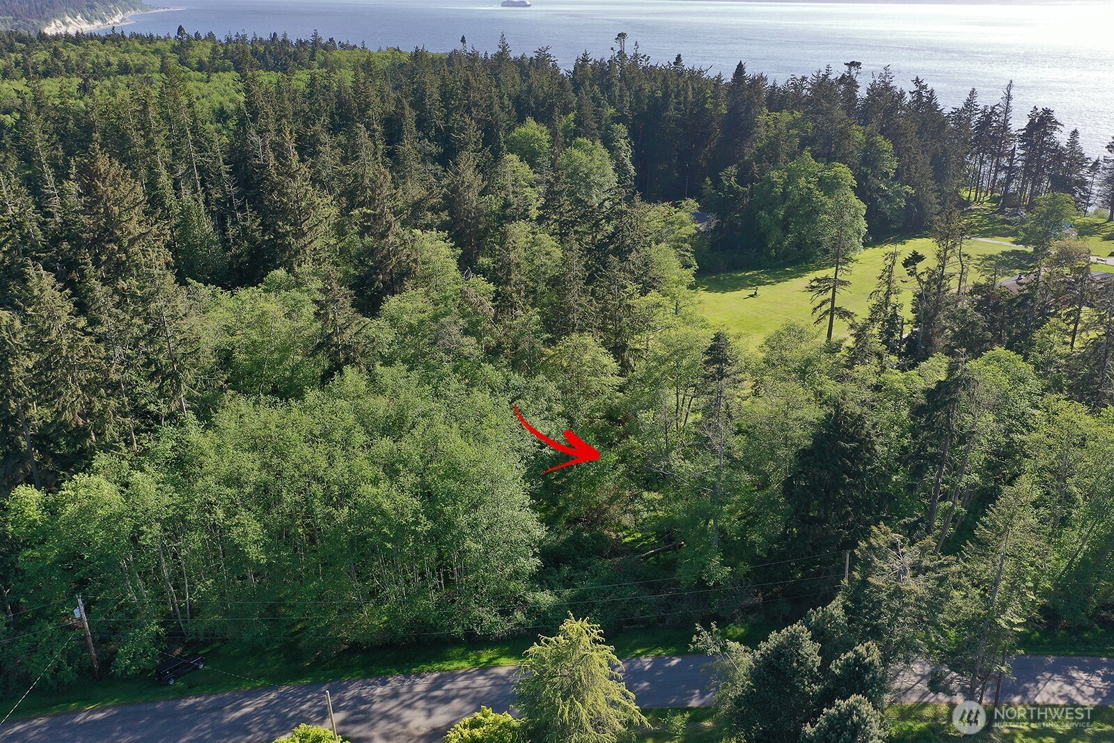364 Gramayre Road Coupeville, WA 98239 - Photo 29 of 38 a view of a forest with a forest