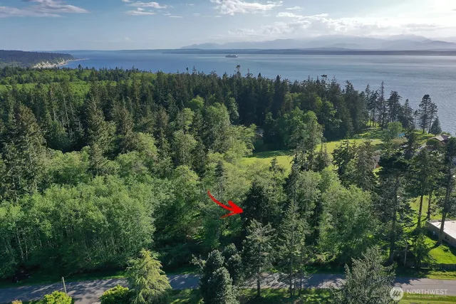 a view of an outdoor space with mountain view