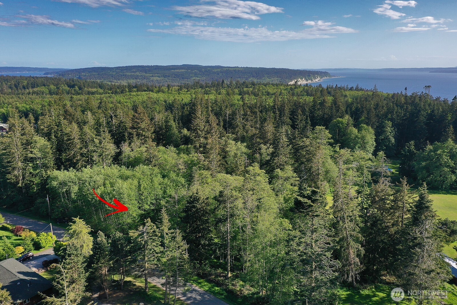 364 Gramayre Road Coupeville, WA 98239 - Photo 31 of 38 a view of an outdoor space with mountain view