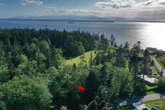 a view of a lake from a yard