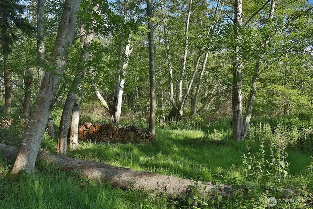a view of backyard with green space