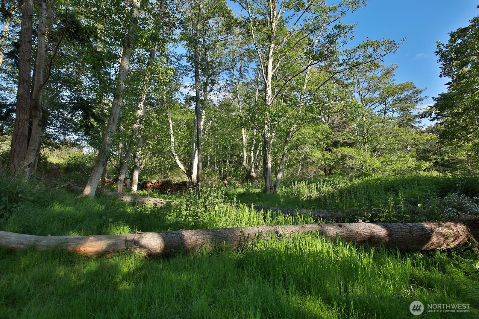364 Gramayre Road Coupeville, WA 98239 - Photo 10 of 38 a view of a garden