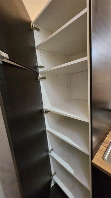 4101 Esters Road, Unit 111 Irving, TX 75038 - Photo 20 of 34 a view of walk in closet with empty racks